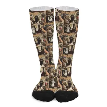 תומס אקווינס גרביים גרביים עם הדפס גרביים אלסטיים עבור נשים גברים חורף גרביים